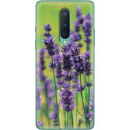 Силіконовий чохол BoxFace OnePlus 8 Green Lavender (39989-up2245)