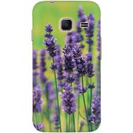 Силіконовий чохол BoxFace Samsung J105 Galaxy J1 Mini Duos Green Lavender (24712-up2245)