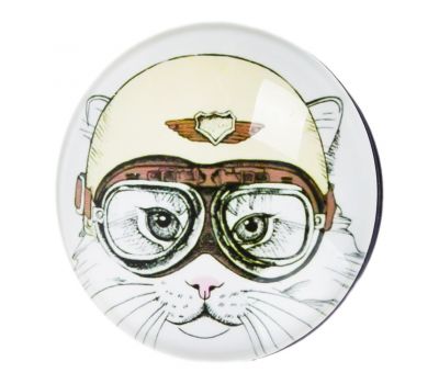 Попсокет для смартфона glass Кішка в окулярах Y536