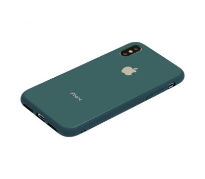 Чохол New glass для iPhone X / Xs сосновий зелений 1224550