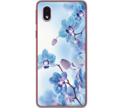 Силіконовий чохол BoxFace Samsung A013 Galaxy A01 Core Orchids (940877-rs16)