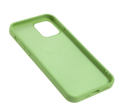 Чохол для iPhone 12 / 12 Pro Art case зелений 2116534