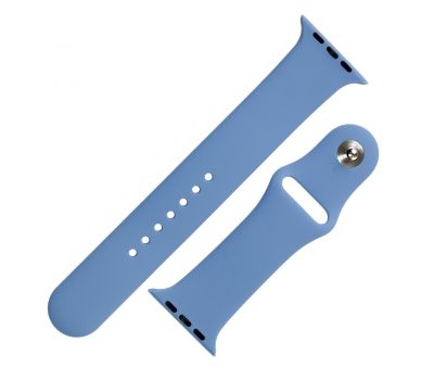 Ремінець Sport Band для Apple Watch 42mm блакитний