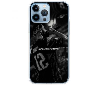 Чохол для iPhone 13 Pro Max MixCase MiyaGi