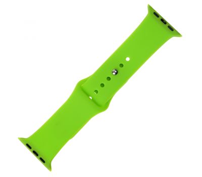 Ремінець для Apple Watch 42-44mm Band Silikone Two - Piece shiny green 2818078