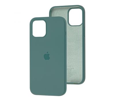 Чохол для iPhone 12 Pro Max Silicone Full зелений / cactus