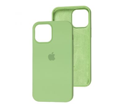Чохол Silicone для iPhone 12 Pro Max case avocado