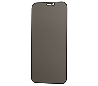 Захисне скло для iPhone 12 mini Full Glue Anti-Spy чорне