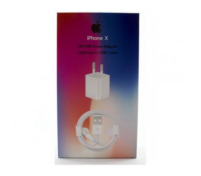 Мережевий ЗП iPhone X 2in1 білий 3380537