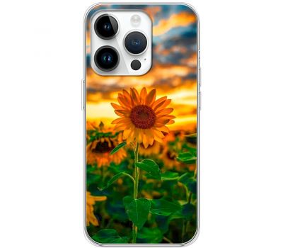 Чохол для iPhone 15 Pro MixCase осінь поле соняшників