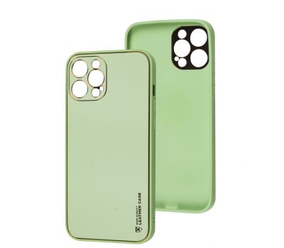 Чохол для iPhone 12 Pro Max Leather Xshield pistachio