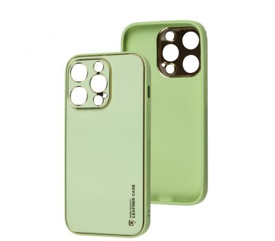 Чохол для iPhone 14 Pro Leather Xshield pistachio