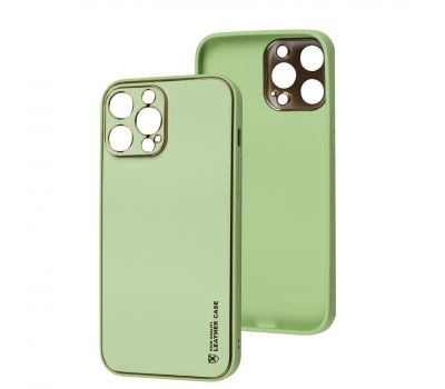 Чохол для iPhone 13 Pro Max Leather Xshield pistachio